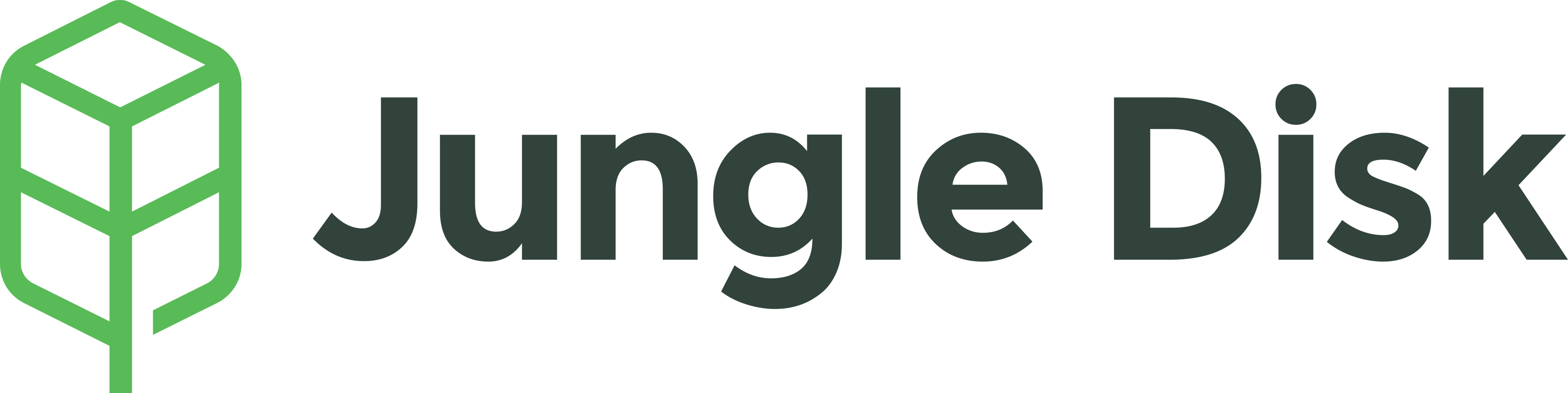 Jungle disk logo