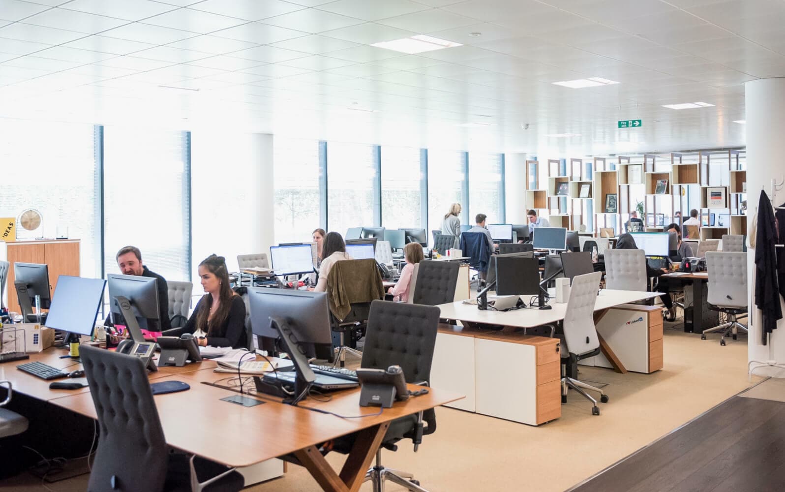 People working on the office